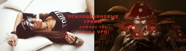 прущая мука Лабытнанги
